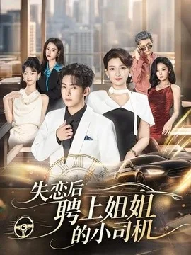 失恋后聘上姐姐的小司机（86集）陈展博 (2026)