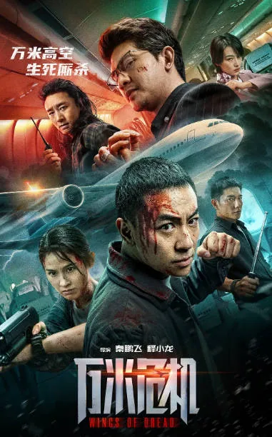[夸克网盘][百度网盘][迅雷云盘]国内电影《万米危机》（2026）动作 / 犯罪