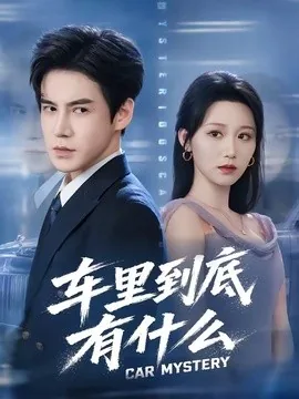 车里到底有什么(51集)李子锋&林千仟 (2026)