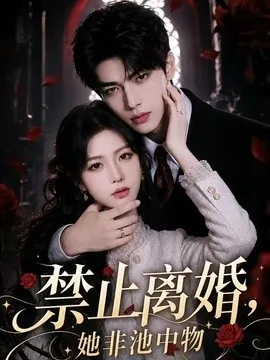 禁止离婚，她非池中物（144集）AI短剧 (2026)
