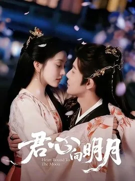 君心向明月（60集）沈浩晨＆梨小娜 (2026)