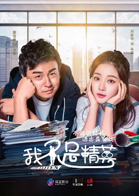 [百度网盘][国剧]《我不是精英》（2017）剧情 / 喜剧 / 爱情 豆瓣6.0