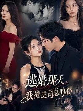 逃婚那天,我撞进司总的心(61集)余容&张予晴 (2026)