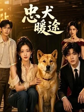 忠犬暖途（81集）AI短剧 (2026)