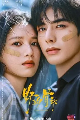 野狗骨头 (2026) 丨宋威龙 / 张婧仪主演丨剧情 / 爱情丨国剧丨又名: 莫道桑榆晚