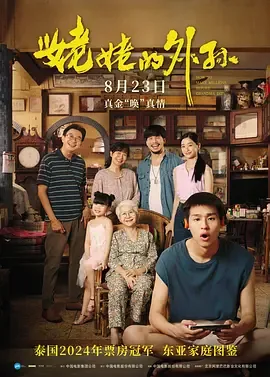 姥姥的外孙 How to Make Millions Before Grandma Dies