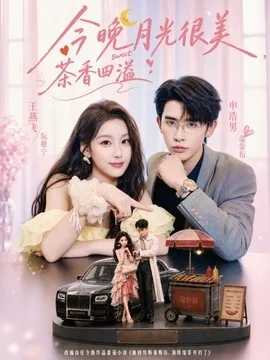 今晚月光很美，茶香四溢（69集）申浩男&王燕飞 (2026)