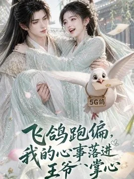 飞鸽跑偏,我的心事落进王爷掌心(31集)AI短剧 (2026)