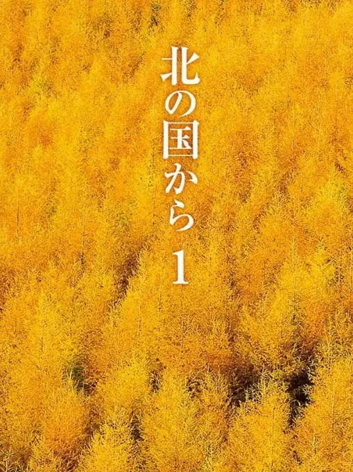 [夸克网盘][日剧]《北国之恋》（1981）剧情 豆瓣9.4