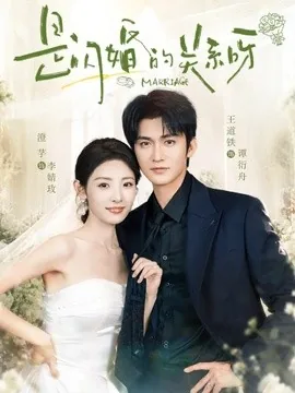 是闪婚的关系呀（63集）王道铁&澄芓 (2026)