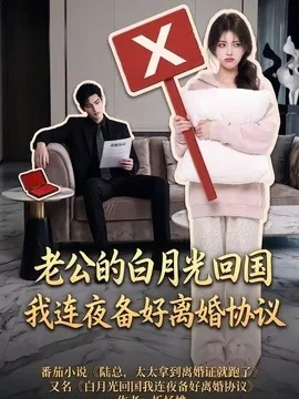 老公的白月光回国我连夜备好离婚协议(100集)AI短剧 (2026)