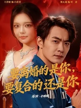 要离婚的是你,要复合的还是你(80集)郑天龙&王若妍 (2026)