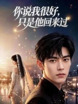 你说我很好，只是他回来过（83集）AI短剧 (2026)