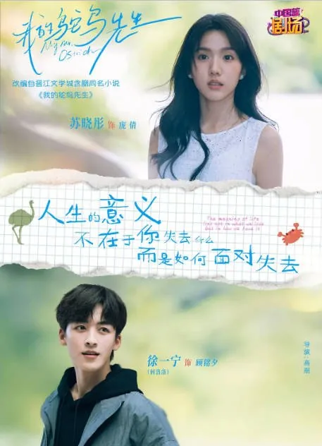 [夸克网盘][国剧]《我的鸵鸟先生》（2026）剧情 / 爱情
