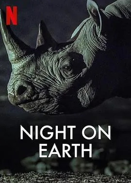 地球的夜晚 (2020) 丨玻伦·萨特 / 萨米拉·威利主演丨纪录片丨英剧丨豆瓣9.2分丨全6集丨又名: 夜访地球