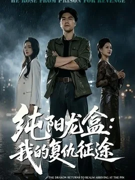 纯阳龙盒：我的复仇征途（80集）师彬&吕洁 (2026)