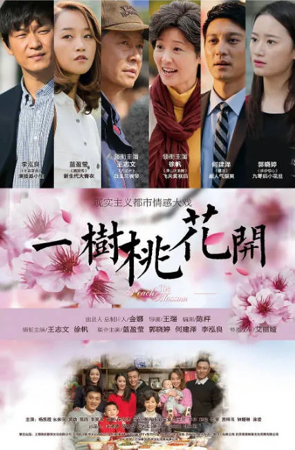 [夸克网盘][国剧]《一树桃花开》（2017）剧情 / 家庭 豆瓣7.0