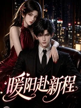 暖阳赴新程（40集）AI短剧 (2026)