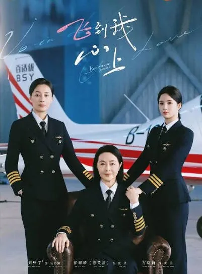 [夸克网盘][迅雷云盘][国剧]《飞到我心上》（2026）剧情 / 爱情