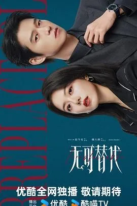 无可替代 (2026) 丨赵今麦 / 魏大勋主演丨剧情丨国剧