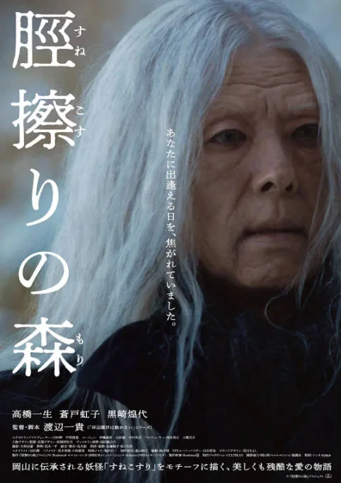 [夸克网盘]日本电影《胫擦之森》（2026）剧情 / 悬疑