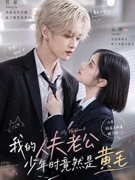 我的人夫老公少年时竟然是黄毛!(15集)AI短剧 (2026)