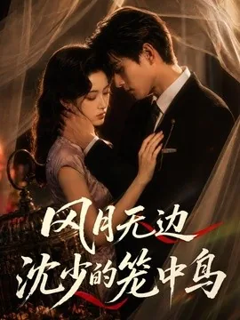 风月无边,沈少的笼中鸟(58集)AI短剧 (2026)