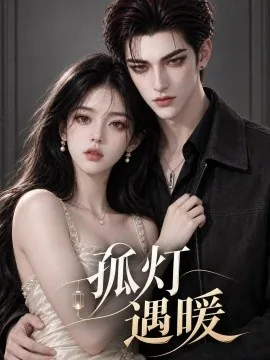 孤灯遇暖(308集)AI短剧 (2026)