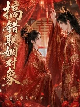 搞错联姻对象青笺未寄误红妆(80集)AI短剧 (2026)
