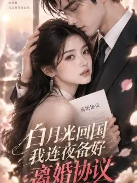白月光回国我连夜备好离婚协议（64集）AI短剧 (2026)