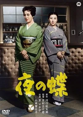 夜之蝶 (1957) 丨京町子 / 山本富士子主演丨剧情丨日本电影