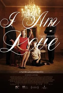 我是爱 (2009) 丨蒂尔达·斯文顿 / 弗拉维奥·帕伦蒂主演丨剧情 / 爱情丨意大利电影丨[奥斯卡]最佳服装设计 提名丨又名: 私情狂(港)