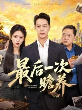最后一次赡养（40集）史宣洪&宋喃 (2026)