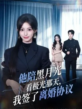 他陪黑月光看极光那天,我签了离婚协议(41集)魏奕菲&肖羽铠 (2026)