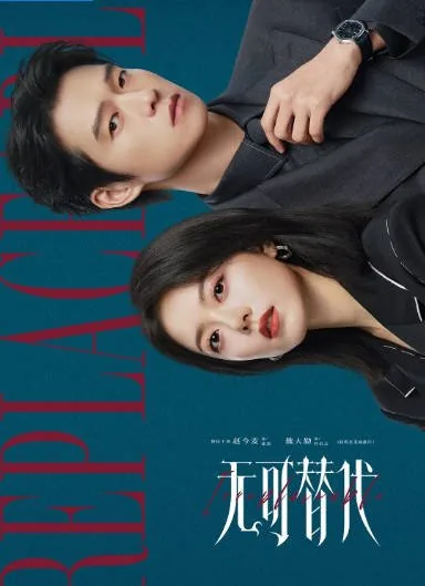 [夸克网盘][迅雷云盘][国剧]《无可替代》（2026）剧情
