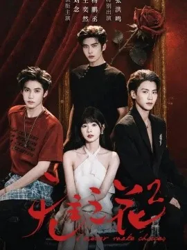 无主之花2（70集）刘念&杨鹏丞＆王奕然＆张洪鸣 (2026)