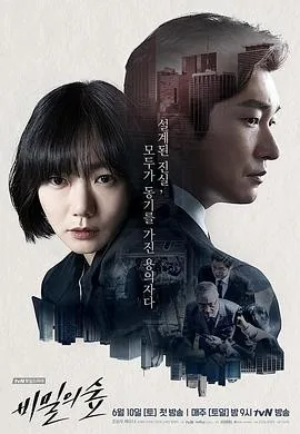 秘密森林 (2017) 丨曹承佑 / 裴斗娜主演丨剧情 / 悬疑丨韩剧丨豆瓣9.2分丨 全2季