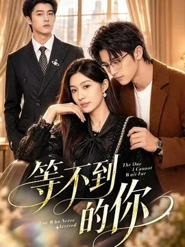 等不到的你（65集）黄盈（黄壹壹）&王青泽 (2026)