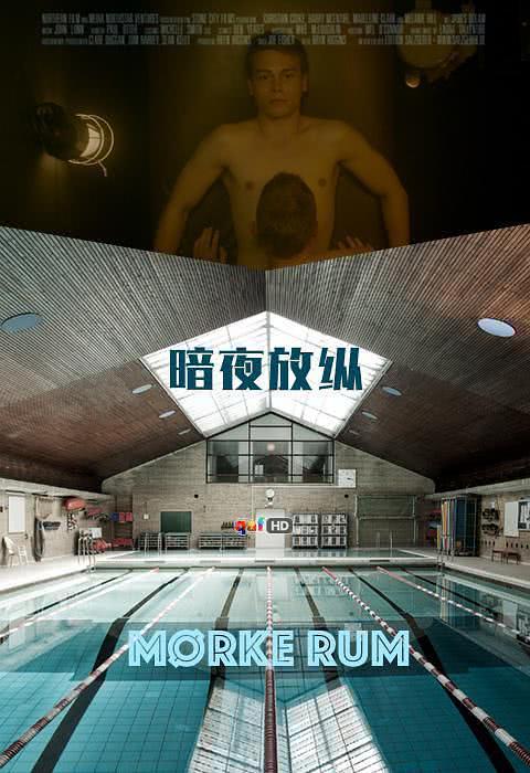 《暗夜放纵》百度云网盘夸克下载.阿里云盘.中字.(2015)