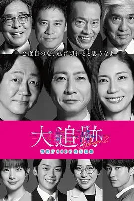 大追踪〜警视厅SSBC强行犯系〜 第二季 大追跡~警視庁SSBC強行犯係~ 2