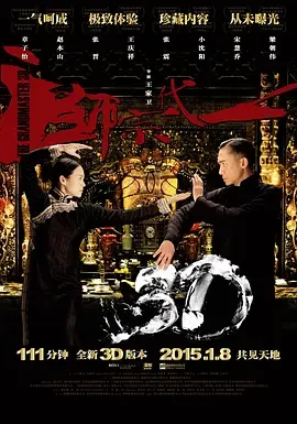 一代宗师 一代宗师3D / 一代宗师终极版 / The Grandmaster