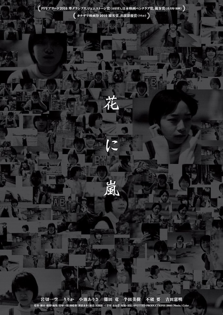 《花经风雨》百度云网盘夸克下载.阿里云盘.中字.(2017)