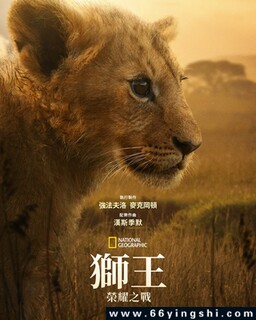 狮王:荣耀之战_免费下载_纪录片_电影港