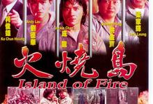 火烧岛.1991.1080p.粤语国语.中字【成龙/刘德华/洪金宝/梁家辉】 2025-05-27