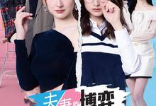 夫妻的博弈.2026.全25集.1080p【剧情】