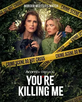 合著谋杀案 You're Killing Me / Allie & Andi