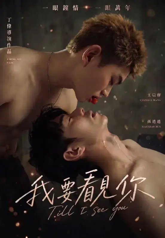 了解《我要看见你》 (2026):中国大陆BL剧集剧情及夸克网盘链接