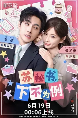 苏秘书，下不为例