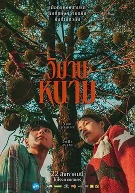 荆棘天堂 Project D / The Marriage / The D Project / โปรเจกต์ D / The Paradise of Thorns / Wiman Nam / โปรเจกต์ดี / 榴心風暴(港)