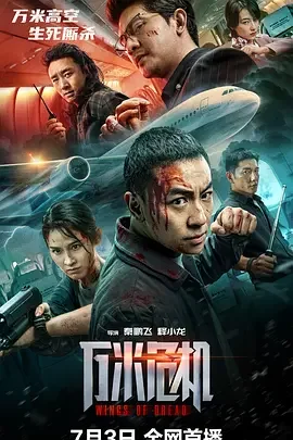 万米危机 空中危机 / Wings of Dread